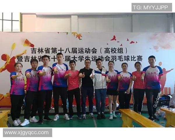 北京羽毛球队在精英赛中的个人能力分析与表现评估