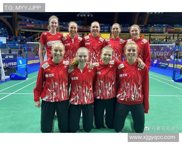 南京羽毛球队在欧锦赛中的比赛经验与表现分析