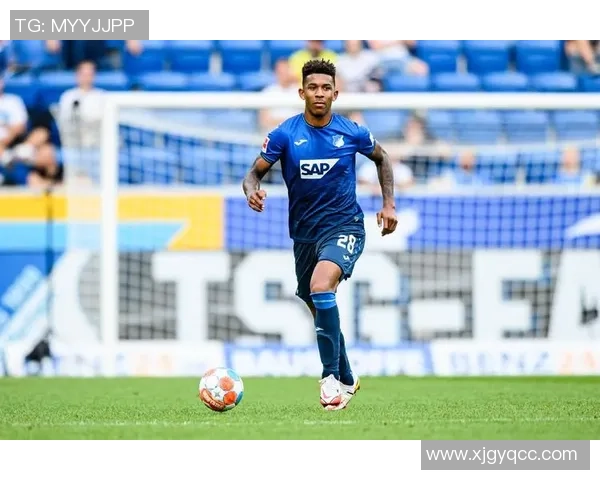 足球明星们为何钟情于益力多的秘密与健康之道探讨