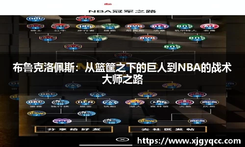 布鲁克洛佩斯：从篮筐之下的巨人到NBA的战术大师之路