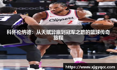 bsports官网