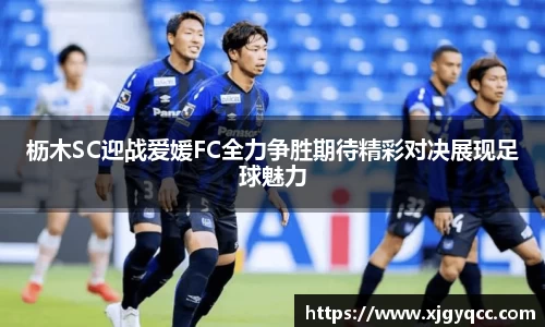 bsports必一体育