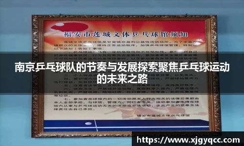 南京乒乓球队的节奏与发展探索聚焦乒乓球运动的未来之路